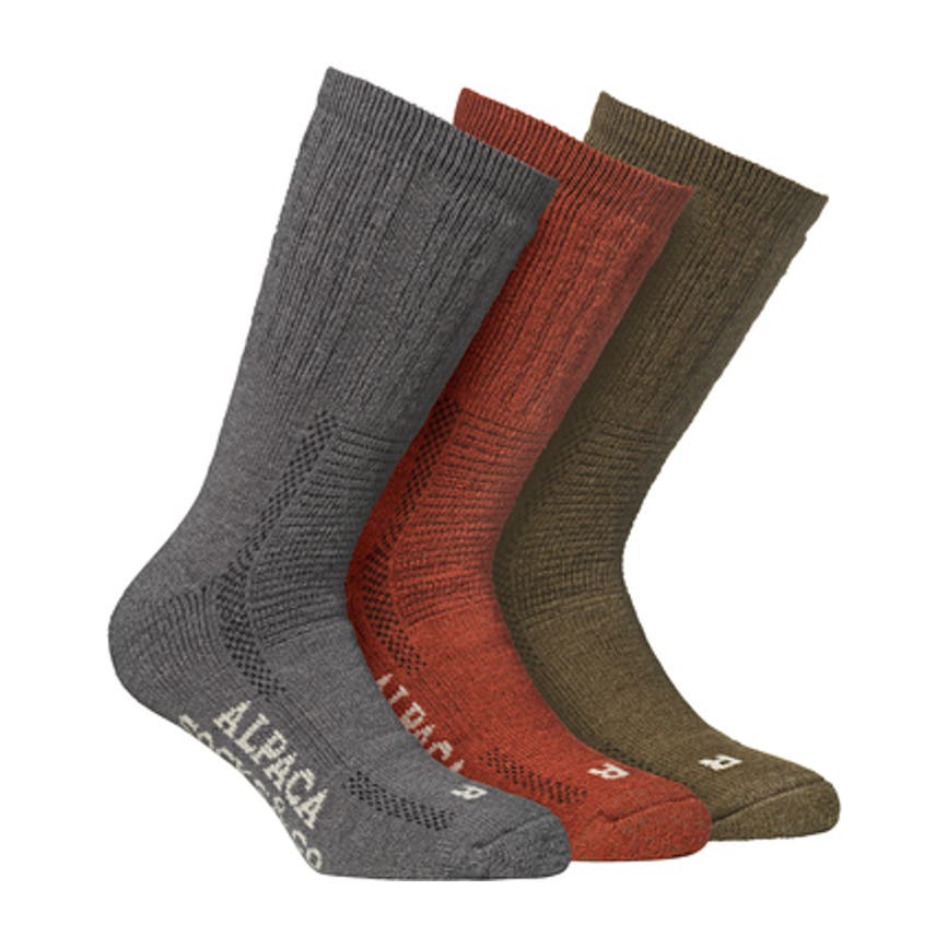 alpacasocks_3-pack_alla.png
