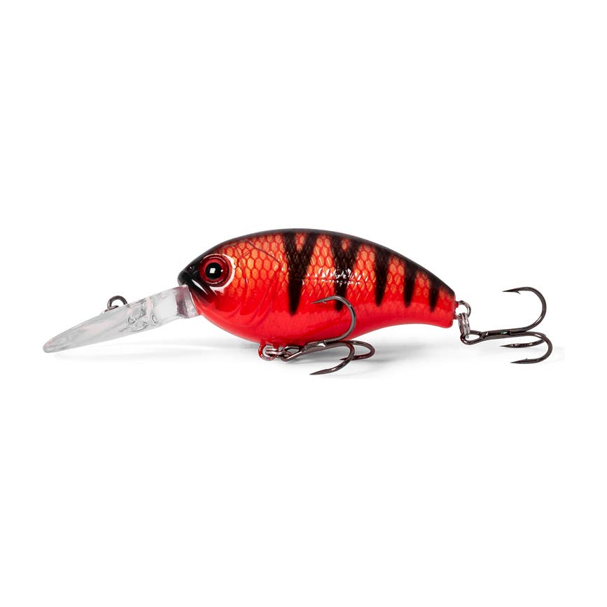 at203ftpe050_1_the_fat_50_mm_tomato_perch.png