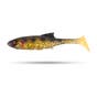 Spotted Bullhead